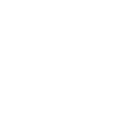 VelvetRoost